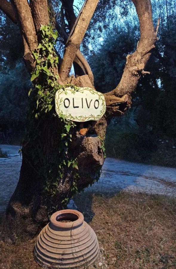Olivo Nydri Apartment ภายนอก รูปภาพ
