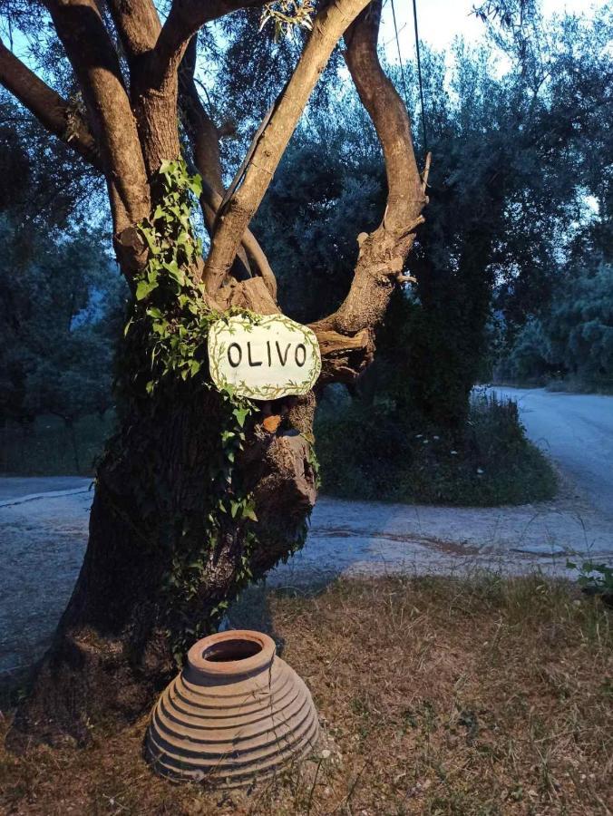 Olivo Nydri Apartment ภายนอก รูปภาพ