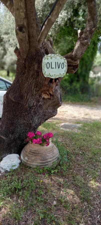 Olivo Nydri Apartment ภายนอก รูปภาพ